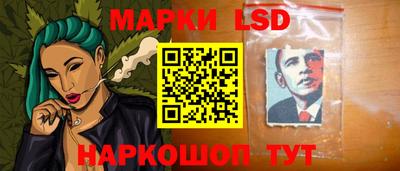 шишки Будённовск