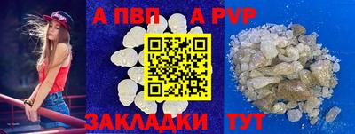 шишки Будённовск