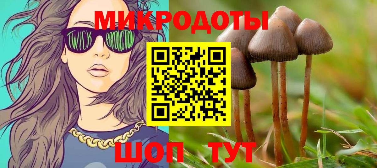 Галлюциногенные грибы Magic Shrooms Печора