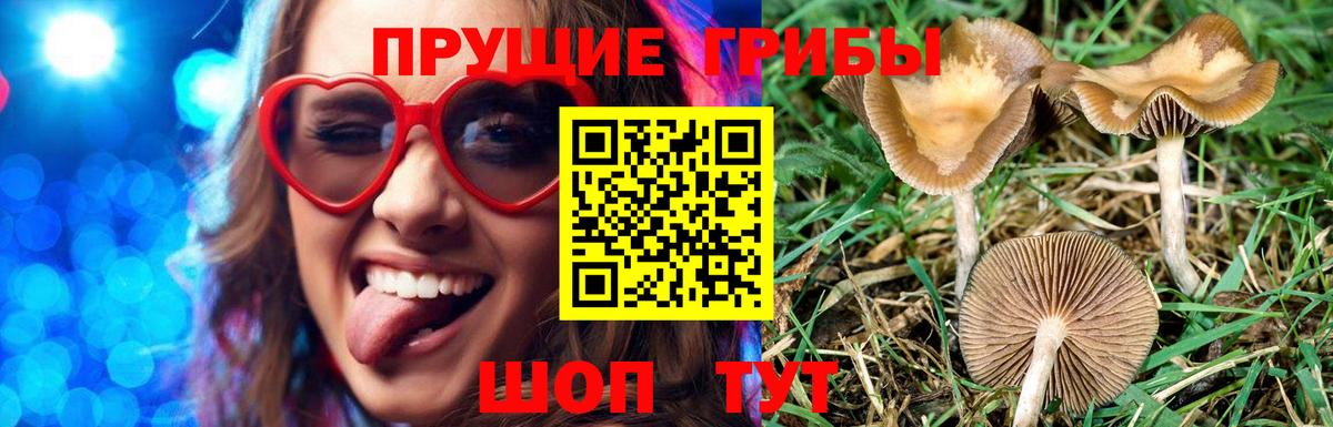 Галлюциногенные грибы ЛСД  Галлюциногенные грибы мицелий  Печора  Вход с VPN 